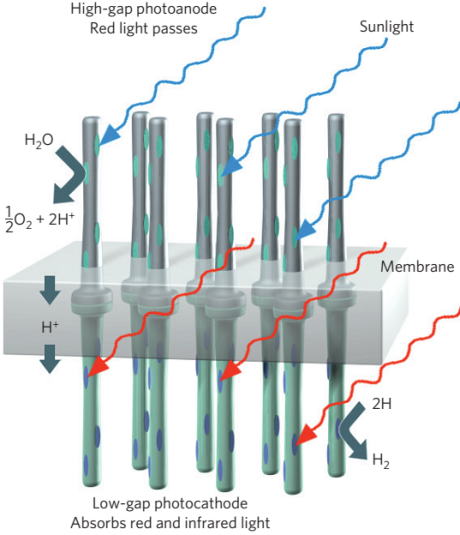 The ’Dream-device’: Tandem device performing overall water splitting under sunlight